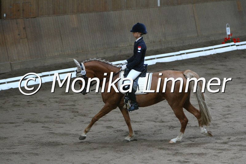 109M8417_Catwalks Prima Ballerina_L Dressur.JPG